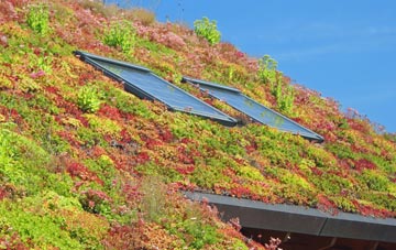 Allerton Mauleverer living roof systems