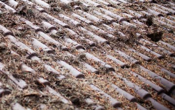 Allerton Mauleverer roof cleaning companies