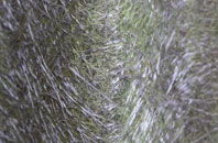 Allerton Mauleverer fibreglass roof work